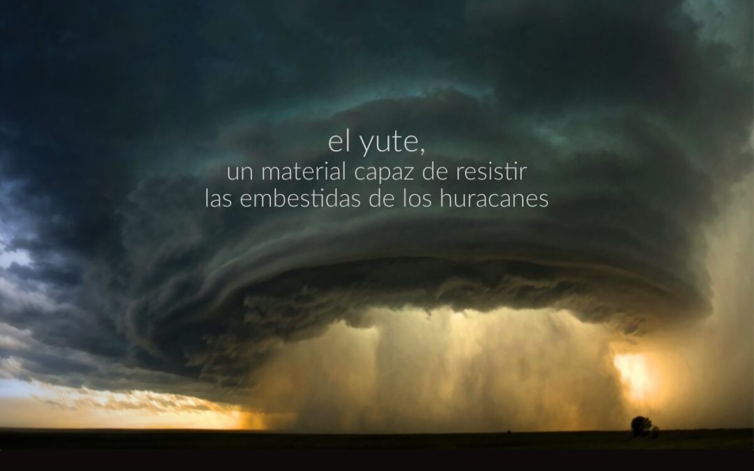 El yute, un material capaz de resistir las embestidas de los huracanes