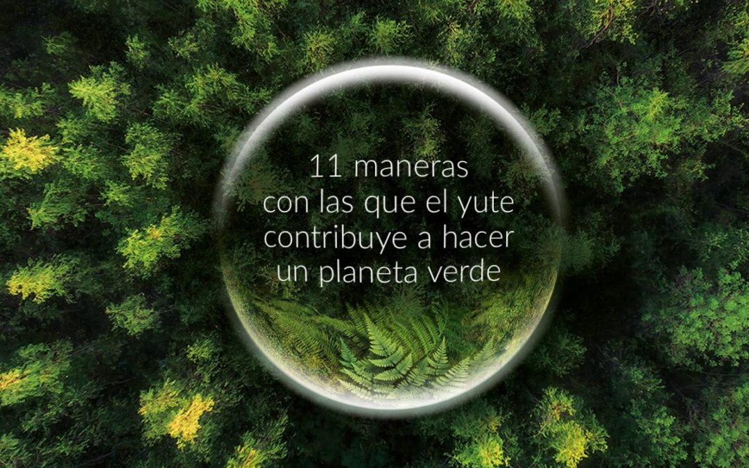 11 maneras con las que el yute contribuye a hacer un planeta verde